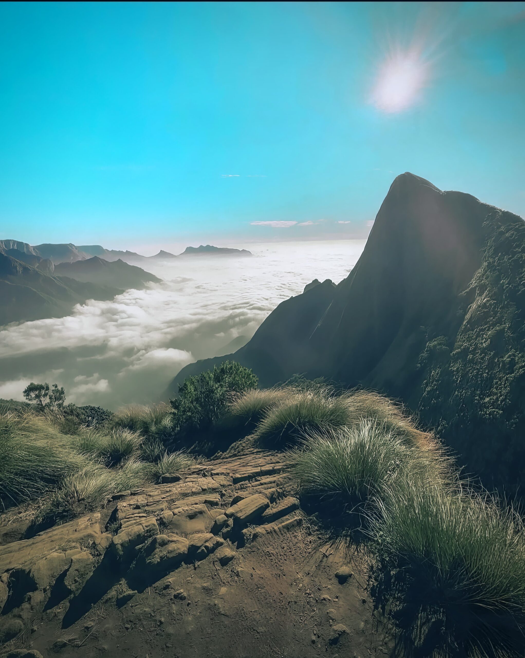 Top Travel Agency in Kerala for Kolukkumalai Hill Station Trips