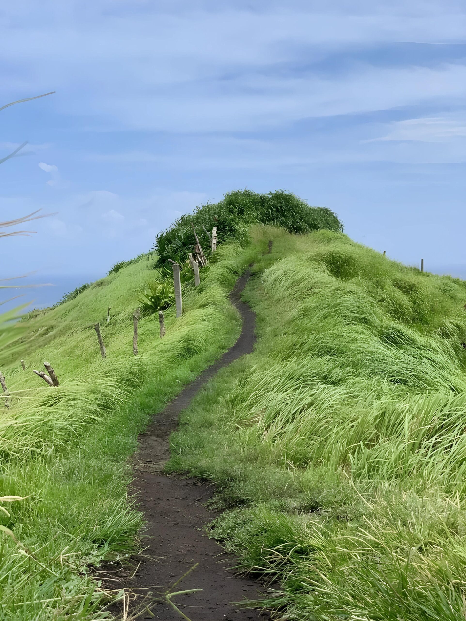 kerala tourism package