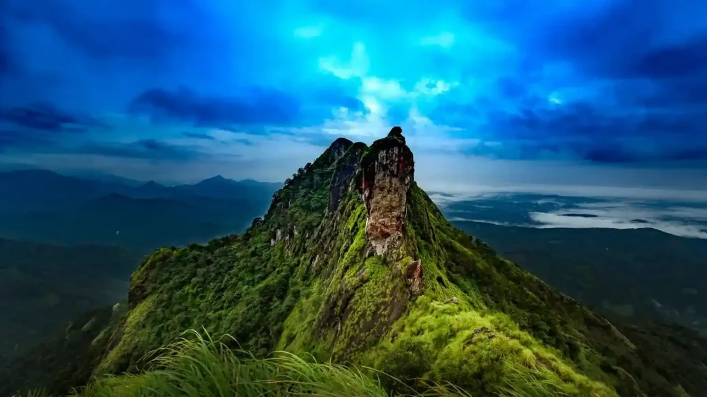 kerala tourism package